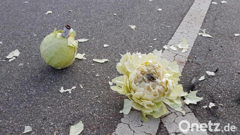 Der rechte Kohlkopf ist selbst nach der Explosion eines legalen, in Deutschland erhältlichen Böllers zerfetzt. Bei einem illegalen Böller wie &quot;La Bomba&quot; bleibt davon überhaupt nichts mehr übrig. Bild: jak