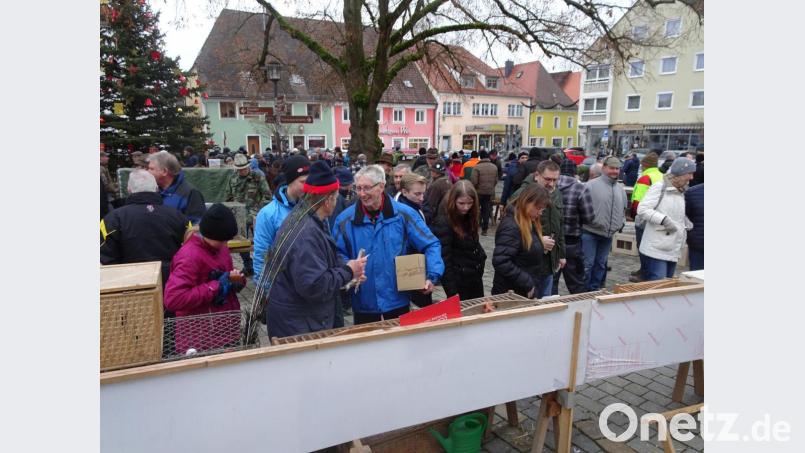 Guter Zuspruch beim Tauben- und Geflügelmarkt. Bild: hm