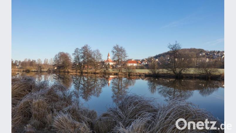 Blauer Himmel, blaue Spiegelung. Dazu Reif auf den Halmen. Lena Held war mit der Kamera bei Luhe unterwegs. Bild: Lena Held