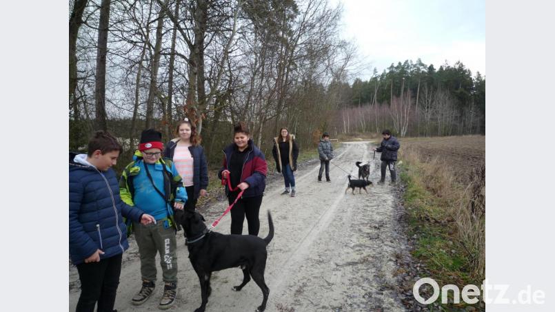 Mit drei Hunden unternahm die Gruppe einen Spaziergang. Bild: Mittelschule Waldsassen/exb