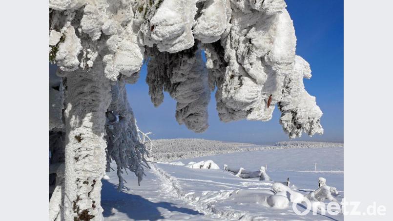 Einfach zum Staunen. Schneeweißes Winterparadies. Bild: exb/Johann Gmeiner
