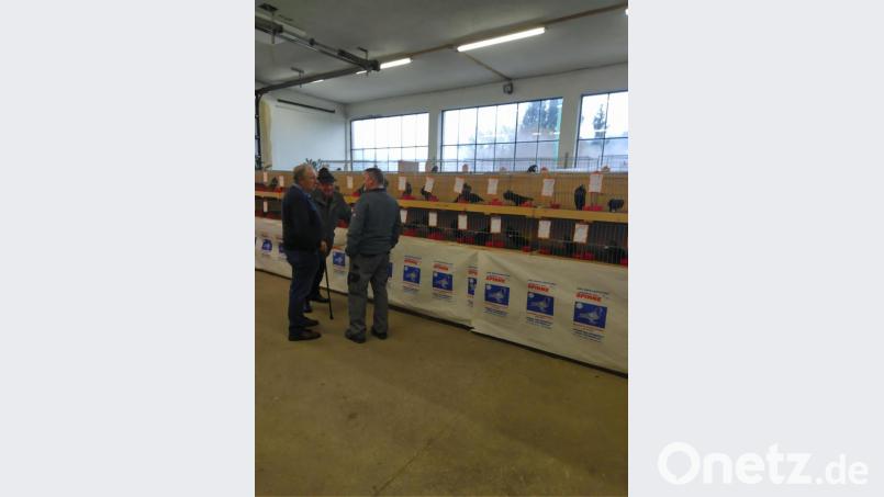 Ausstellungsleiter und Vorsitzender Johann Putzer (links) informierte die Besucher. Bild: rfi