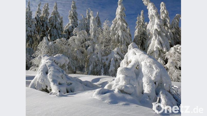 Einfach zum Staunen. Schneeweißes Winterparadies. Bild: exb/Johann Gmeiner