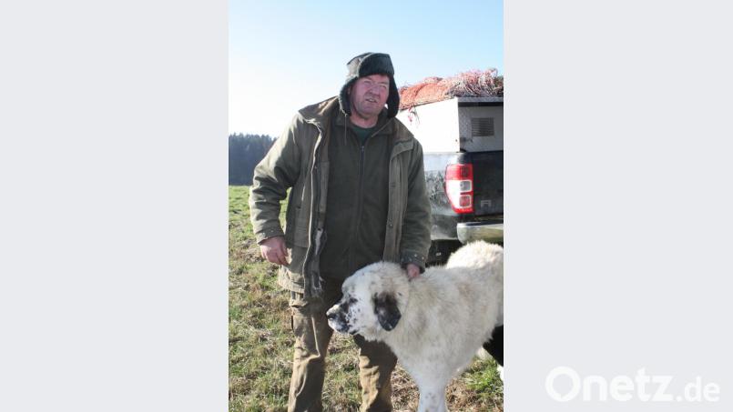 Paul Panko kann sich auf den riesigen Hirtenhund aus Rumänien verlassen, der zusammen mit seinen Kollegen nachts den Pferch bewacht, in dem die Schafe schlafen. Bild: lg