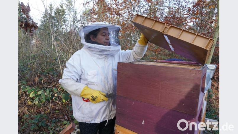 Im weißen Schutzanzug kontrolliert Andrea Stauber ihre Bienenkästen. Bild: kaz