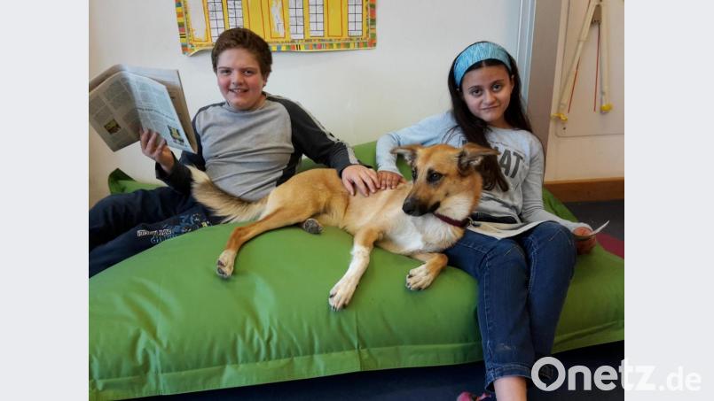 Hündin Josie wird auch in den Unterricht eingebunden. Die Schüler lesen ihr zum Beispiel vor. Bild: Andrea Kostka