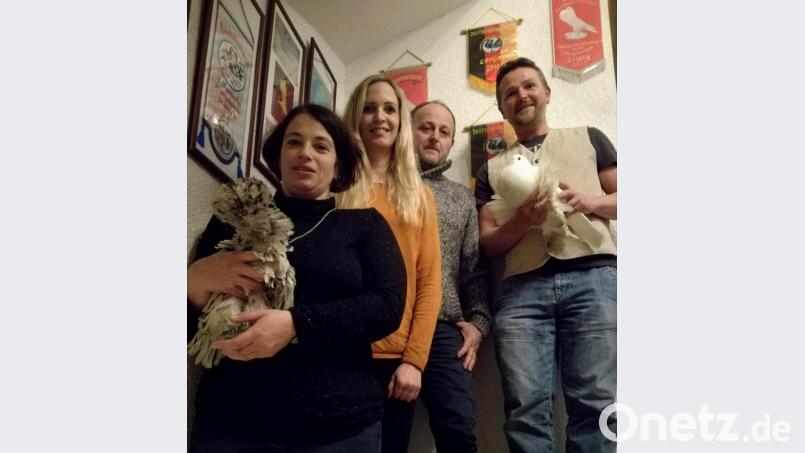 Silvia Rupp, Evi Scheinkönig, Siegfried Rupp und Matthias Sauer (von links) kehrten mit großem Erfolg und ausgezeichneten Tieren von den Bundesschauen zurück. Da darf sich der Kropf der Pommerschen Rassetaube ruhig vor Stolz aufplustern. Bild: dob