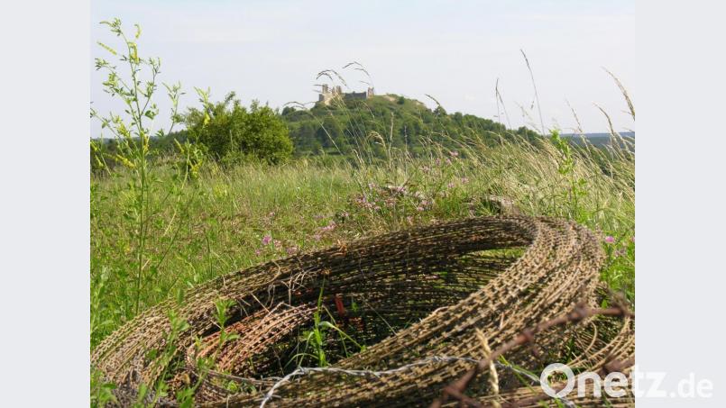 Die Hohenburg (im Hintergrund) ist das Wahrzeichen des Marktes Hohenburg. Da sie auf dem Gelände des Truppenübungsplatzes liegt, gehört sie aber verwaltungstechnisch zum Markt Hohenfels. Dieser bekommt Bundeszuweisungen, der Markt Hohenburg nicht. Bild: bö