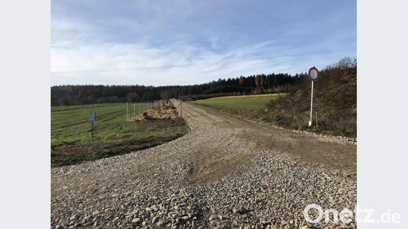 In unmittelbarer Nähe zum neuen Wirtschaftsweg wurde eine fünf Meter breite Heckenstruktur angelegt. Zahlreiche Teilnehmer halfen vor Ort bei den Pflanzarbeiten mit und erhielten hierfür eine Gutschrift. Bild: exb