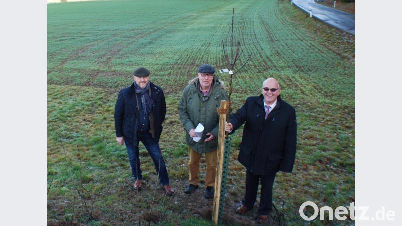 Bürgermeister Klaus Meyer, Altbürgermeister Albert Köstler (Vorsitzender der Bürgeraktion "Gegenwind im Stiftland e.V.) sowie Andreas Rösch (Zweiter Vorsitzender der Bürgeraktion) bei der Besichtigung der Anpflanzungen aus einer Spende von "Gegenwind" (von rechts). Bild: enz
