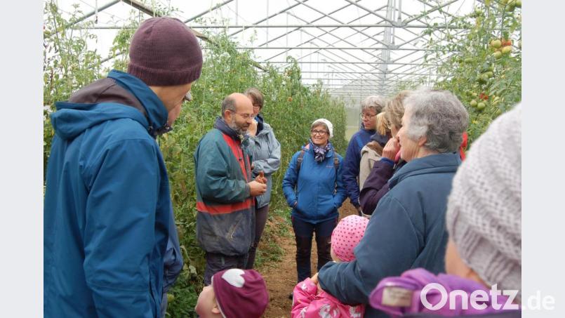 Beim Solawi-Ausflug: Mitglieder der Solawi AmSuLa informieren sich bei der Erntegemeinschaft Vorderhaslach über deren Arbeitsweise. Bild: Barbara Ströll/exb