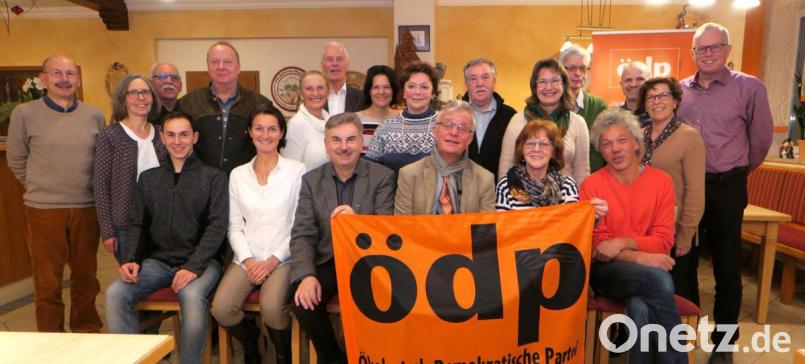 Mit Spitzenkandidat Alfred Damm (sitzend, Dritter von links) zieht die ÖDP in den Wahlkampf um den Schwandorfer Stadtrat. Bild: rhi