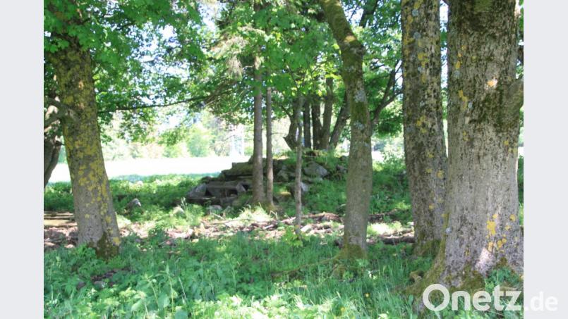 Auch ein tschechischer Bunker ist bei den Führungen rund um Paulusbrunn zu sehen. Bild: cr
