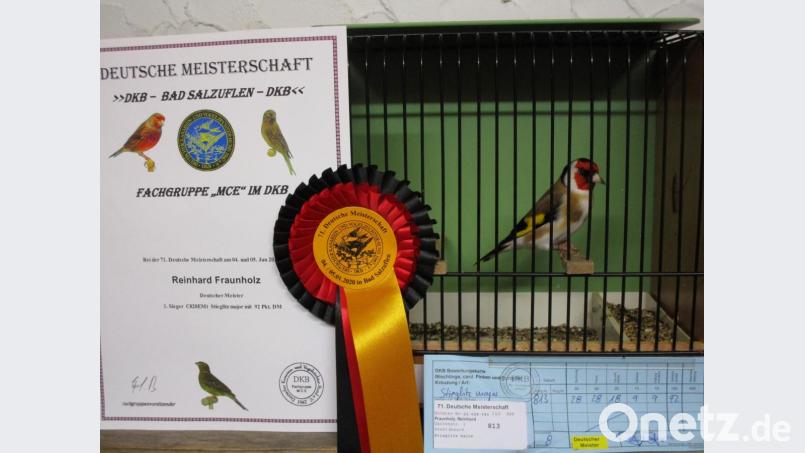 So sehen Sieger aus: Der russische „Stieglitz-Mayor“. Bild: soj