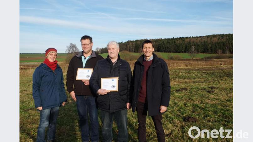 LBV-Vorsitzender im Kreisverband Schwandorf, Zeno Bäumler (rechts), und Stellvertreterin Susanne Götte (links) sprachen eine besondere Auszeichnung aus. Sie überreichten an die Landwirte Markus Schießl aus Neusath (Zweiter von links) ) und Josef Kurz aus Namsenbach (Zweiter von rechts) auf der Wiese südöstlich der Langwiedteiche bei Nabburg die Urkunde für vorbildliche Bewirtschaftung ihrer Flächen zum Schutz des Kiebitz. Bild: ohr