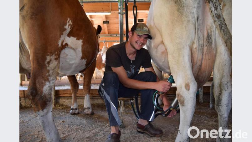 Die Kühe werden im Stall gemolken. Dazu zieht der junge Senner aus der Oberpfalz gerne die traditionellen Holzschuhe an. Bild: exb