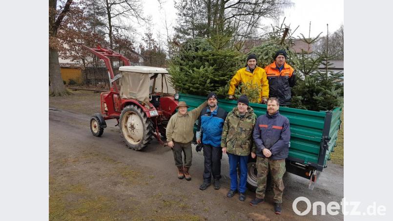 Viele fleißige Helfer der Schwarzenbacher SPD sammeln auch heuer wieder ausgediente Christbäume ein. Bild: hal