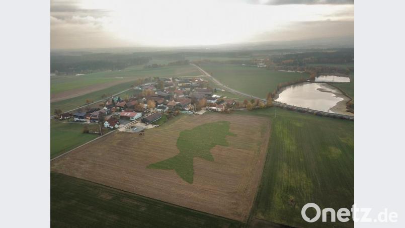 Größter Karpfen der Welt Bild: Fabian Polster, ARGE Fisch/exb