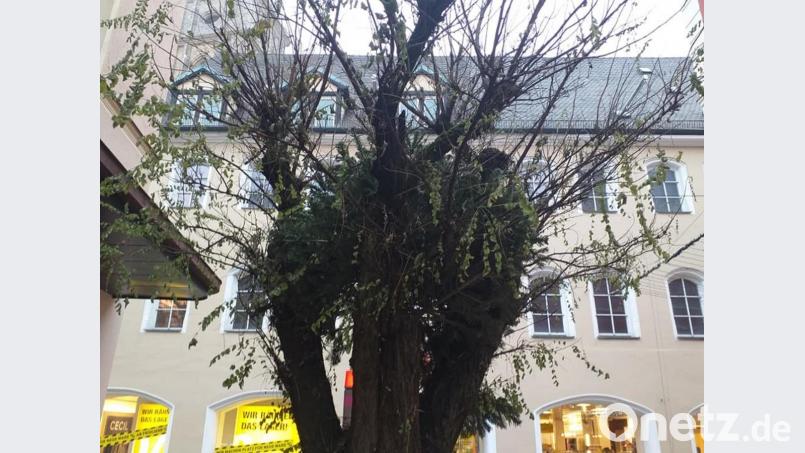 Auf den ersten Blick sieht hier alles ganz normal aus. Doch der Eindruck täuscht. Bild: tk