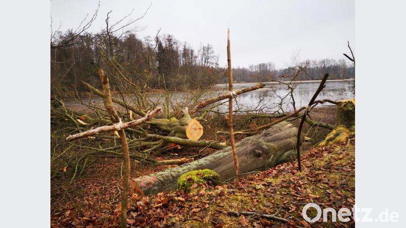 Selbst gebastelte Kreuze aus Ästen der gefällten Bäume symbolisieren am Eselweiher bei Teublitz den Protest der Naturschützer gegen die Fällaktion in der vergangenen Woche. Bild: Thomas Dobler