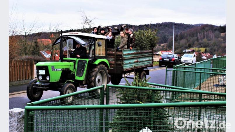 Die Jugendfeuerwehr beim Einsammeln der Christbäume. Bild: wku
