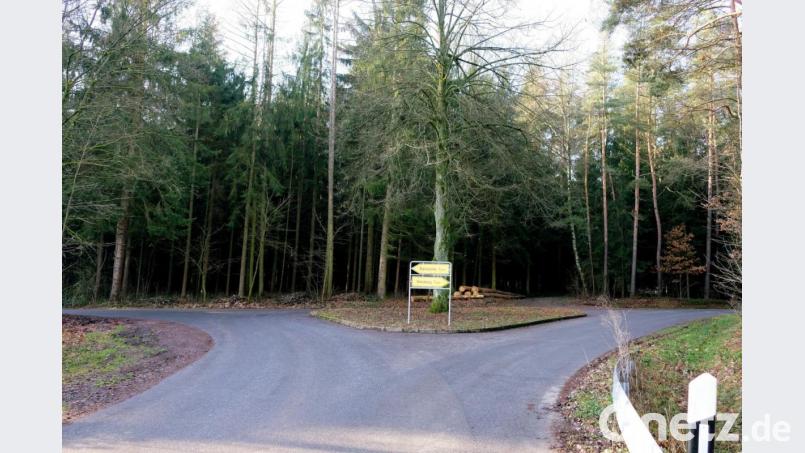 Das Waldgebiet um Hotzaberg und Breitenlohe bei Eschenbach wurde nach der Schülerin abgesucht. Bild: do