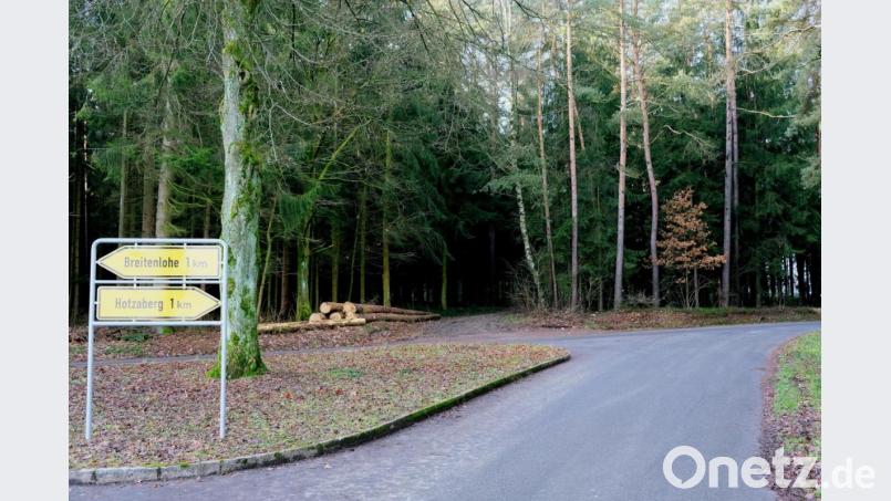 Die Polizei sucht das Waldgebiet um Hotzaberg und Breitenlohe nach der Schülerin ab. Bild: do