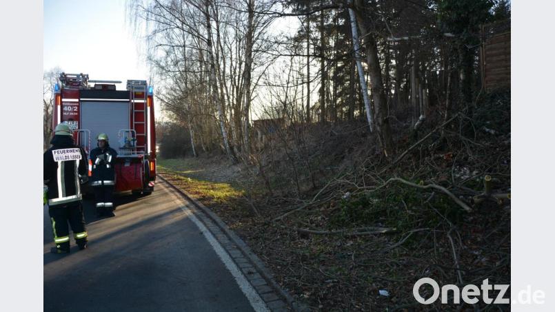 Hier in diese Böschung fuhr der BMW, wo er auf dem Fach liegend zum Stehen kam. Bild: jr