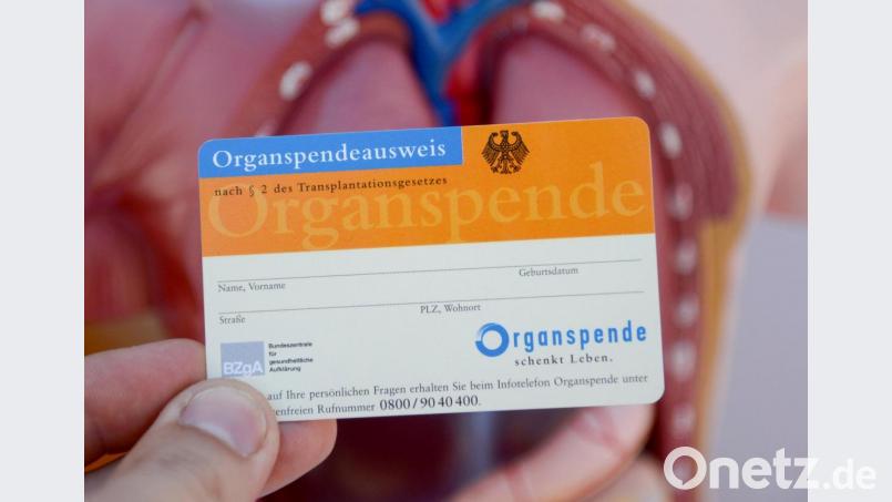 Im Ziel sind sich alle einig: Die Zahl der Organspender soll erhöht werden. Bild: Daniel Maurer/dpa
