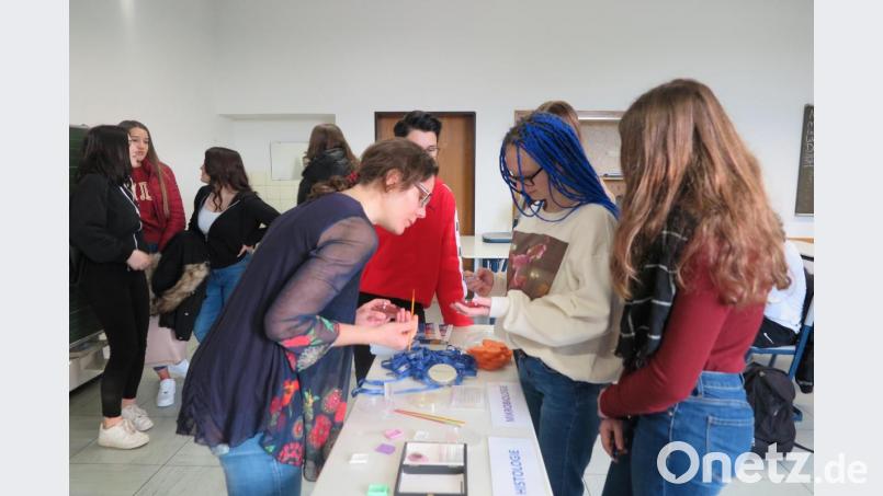 Annabell Schuster (links) von der Berufsfachschule für Medizinisch-Technische Laboratoriumsassistenten in Bayreuth stellte den Neuntklässlern diesen Beruf vor. Bild: jzk