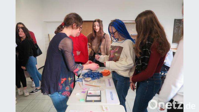 Annabell Schuster (links) von der Berufsfachschule für Medizinisch-Technische Laboratoriumsassistenten in Bayreuth stellte den Neuntklässlern diesen Beruf vor. Bild: jzk