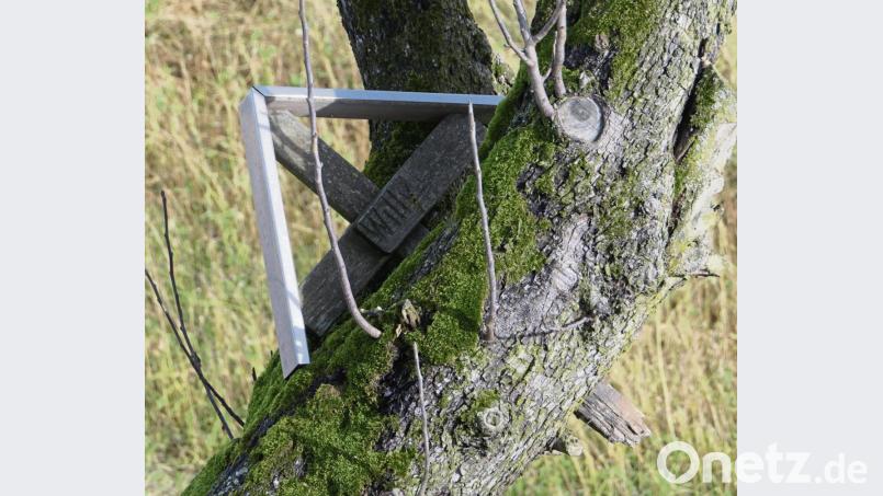 Viele Kreuze säumen die B 22. Eines hängt etwas abseits in den Zweigen eines Baumes. Es erzählt eine tröstliche Geschichte. Bild: ils