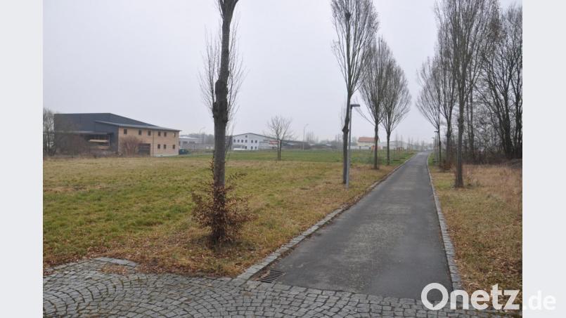 Fertiggestellt und jetzt auch offiziell ins Wegeverzeichnis der Stadt aufgenommen ist die Verbindung von der Friedrichstraße zum Gewerbegebiet-Ost. Bild: ws