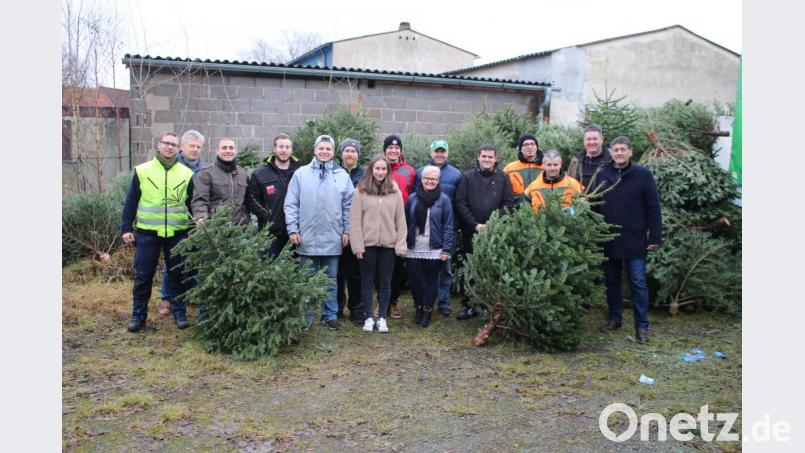 Hunderte Christbäume sammelt die Junge Union am frühen Morgen im Stadtgebiet ein. Bild: exb