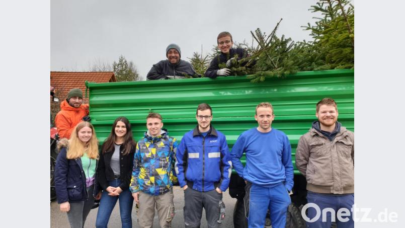 Mehrere Hänger voller ausgedienter Christbäume waren das Ergebnis der Christbaum-Abholaktion der Jungen Union. In vier Gruppen waren die eifrigen Helfer unterwegs. Bild: flt