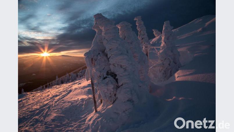 Geheimnisvoll glitzernd erwartet den Wanderer eine verzauberte Welt im geheimnisvoll glitzernden Schnee der aufgehenden Sonne im Bayerischen Wald. Das intensive Blau des Himmels steht im Kontrast zum hellen Weiß der verschneiten Landschaft. Bild: exb/Josef Schell