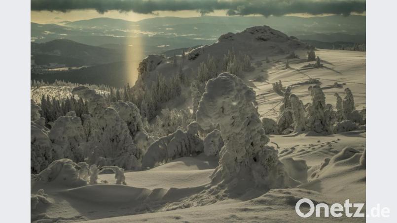 Von der tief verschneiten Winterlandschaft in der traumhaften Kulisse des Arbergebiets geht magische Kraft aus. Spektakuläre Baumformen zaubern eine bizarre Winterwelt fern von jedem Trubel. Bild: exb/Josef Schell