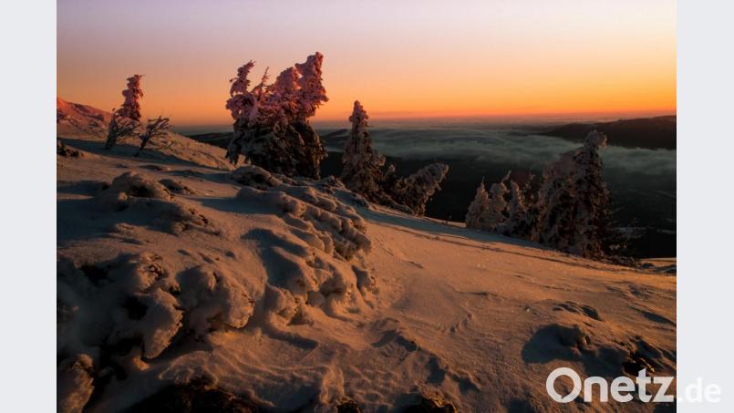 Der Arber im kalten Winter von seiner vielleicht romantischsten Seite. Fotoclubmitglied Josef Schell hat diese Momente erlebt. Bild: exb/Josef Schell