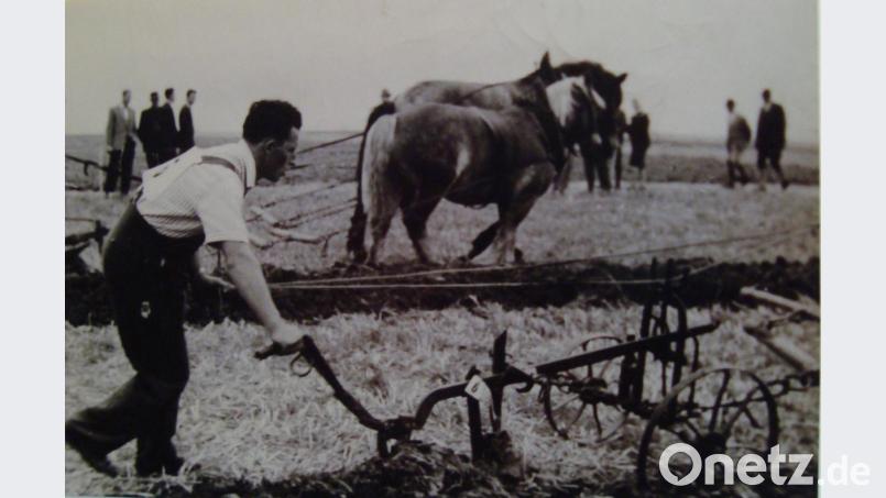 Die linke Hand führte das Leitseil. Man spürt förmlich die Anspannung und Konzentration des jungen Wettkampfteilnehmers Georg Kumeth. Bild: Familie Kumeth