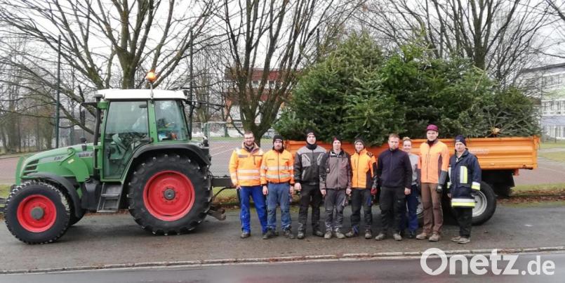 Übervoll war der Anhänger, den die Aktiven der Kulmainer Feuerwehr mit eingesammelten Christbäumen gefüllt haben. Bild: exb