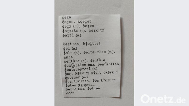 In seiner Dissertation über die Mundart von Eslarn verwendet Armin Bachmann eine wissenschaftliche Dialektschreibung. Diese ist für den Laien nicht nachvollziehbar. Bild: slu