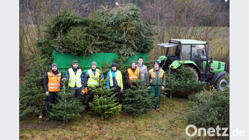 Bernhard Schmid, Michael Heser, Johannes Frauenholz, Matthias Wolf, Ralph Schreyer, Maximilian Horn und Sebastian Heser (von links) haben die Gemeinde „christbaumfrei“ gemacht. Bild: bkr
