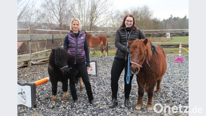 Maria Wölfl (links) und Karola Wenisch bieten in Hundsbach das reitpädagogische Konzept &quot;Hippolini&quot; an. Bild: sfo