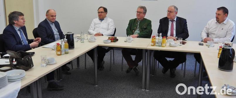 Beim Neujahrstreffen im Bezirksklinikum Wöllershof diskutierten (von links) Medbo-Vorstand Dr. Dr. Helmut Hausner, medbo-Finanzchef Konrad Kastner, Ärztliche Direktor Dr. Markus Wittmann, Bezirksrat Toni Dutz, Bezirkstagsvizepräsident Lothar Höher und Bürgermeister Markus Ludwig. Bild: Bühner
