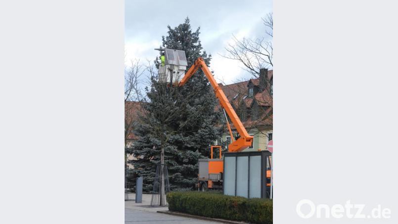 Die Spitze des Baumes haben unbekannte Täter in einer Nacht- und Nebelaktion abgesägt und den Stern, der darauf thronte, gestohlen. Bild: Benkhardt