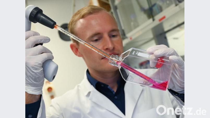 Die Familienangehörigen des ersten bayerischen Corona-Patienten sind weiterhin gesund. Symbolbild: Arne Dedert