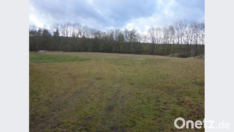 Der Bauantrag für einen Jugendzeltplatz auf dem ehemaligen Salesianer-Sportplatz wurde genehmigt Bild: tra