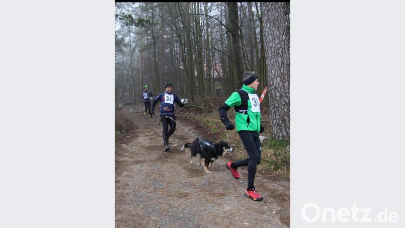 Ein Läufer vertraute auf die Streckenkenntnis seines Hundes. Bild: ds