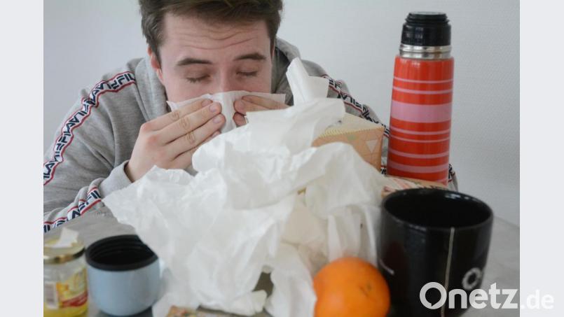 Schnupfen allein macht keine echte Grippe. Aber immer mehr erkrankten in der vergangenen Woche an Influenza-Viren. Das zeigen die Zahlen des Gesundheitsamtes Neustadt/Weiden. Bild: Gabi Schönberger