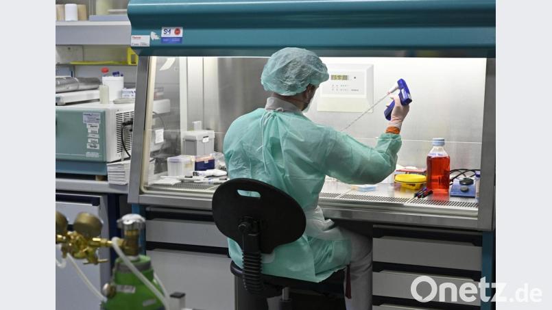 Im Institut für Hygiene und Angewandte Immunologie der Medizinischen Universität Wien führt ein Mitarbeiter Laboruntersuchungen zur Abklärung des Coronavirus durch. Bild: Hans Punz/APA/dpa